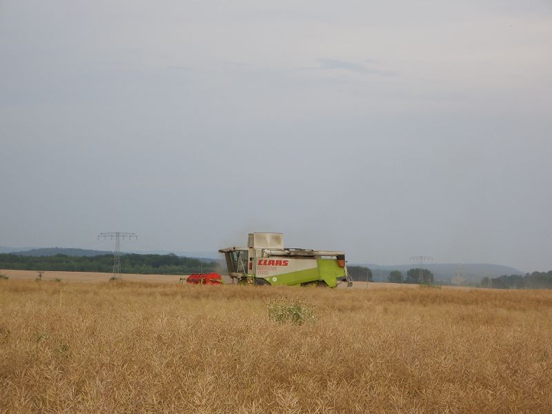 bilder/Fabian/22_26_7_2006/Claas Lexion 480 14.jpg